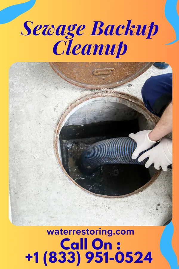 Sewage Backup Cleanup in Minonk, IL