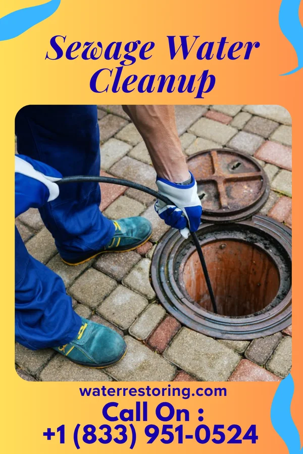 Sewage Water Cleanup in Minonk, IL
